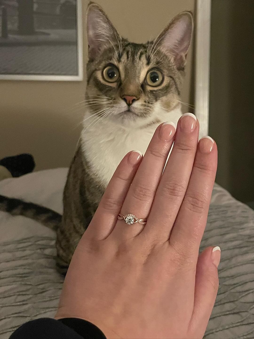 Picture of Engagement