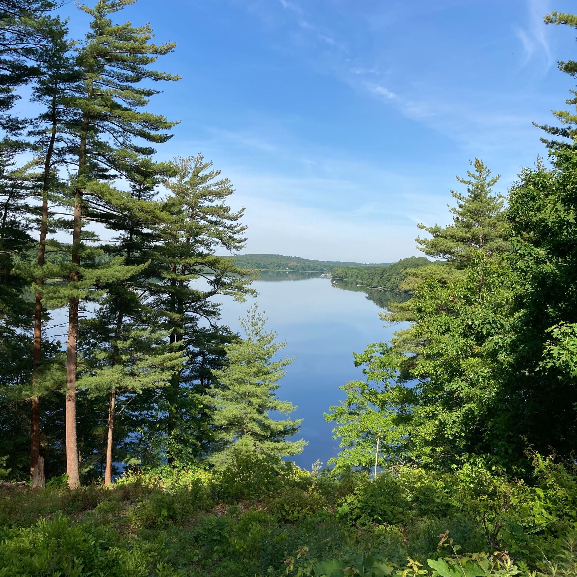 Picture of Maudslay State Park
