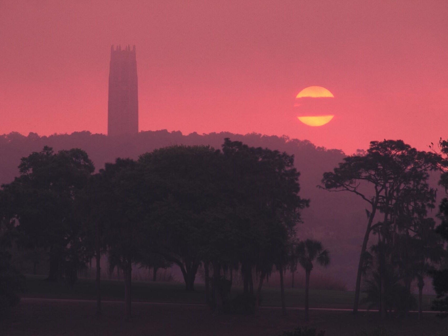 Picture of Bok Tower Gardens