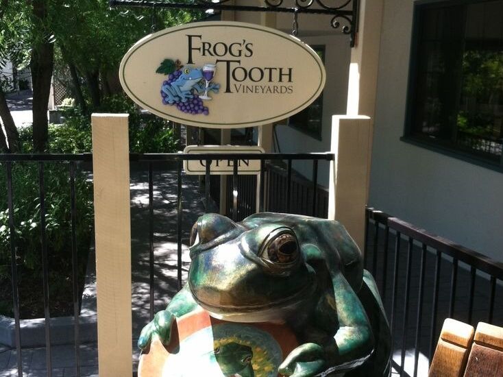 Picture of Frog's Tooth Winery