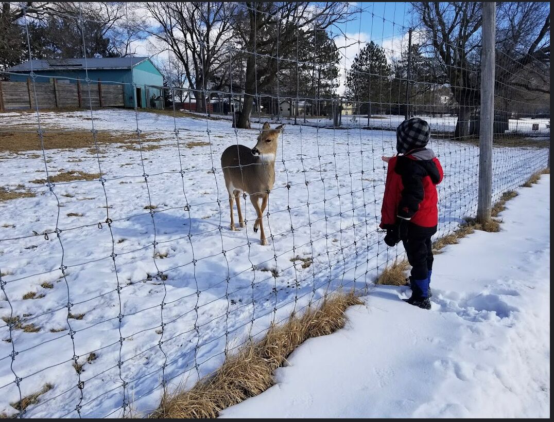 Picture of Sunnybrook Park