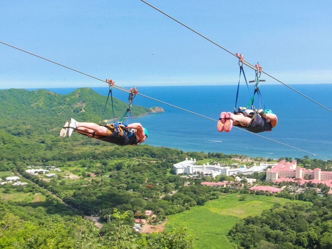 Picture of Zipline and Adventure Park