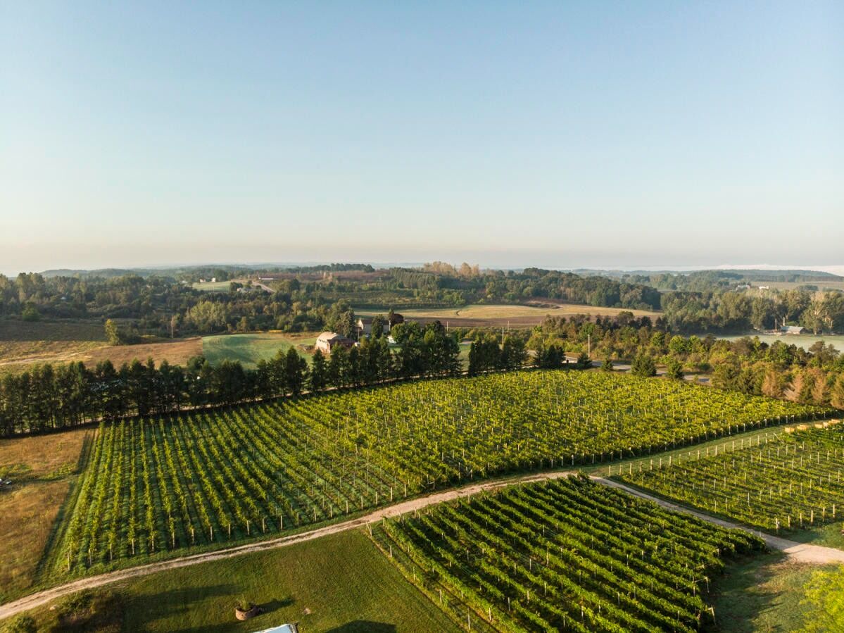Picture of MAWBY Vineyards and Winery