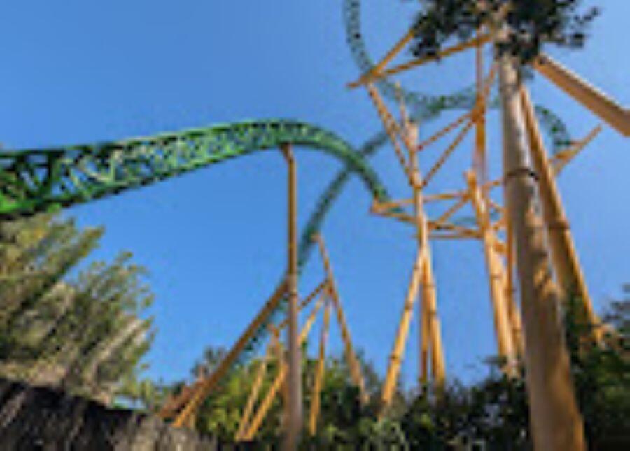 Picture of Busch Gardens Tampa Bay