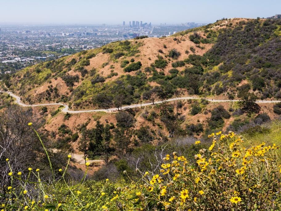 Picture of Runyon Canyon Park
