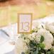 Elegant Table Numbers