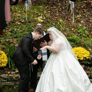 Gallery Photo 59