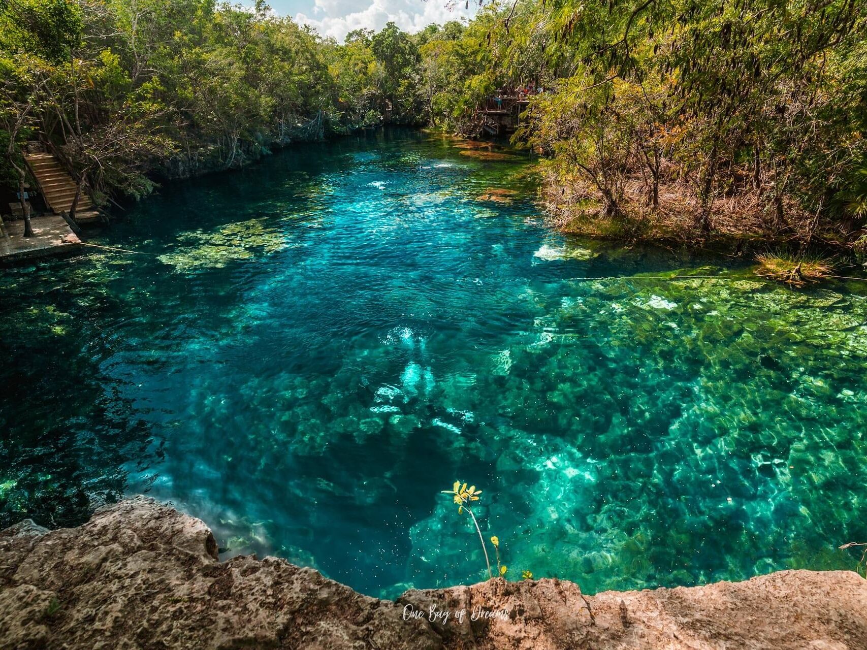 Picture of Cenote Jardín Del Eden