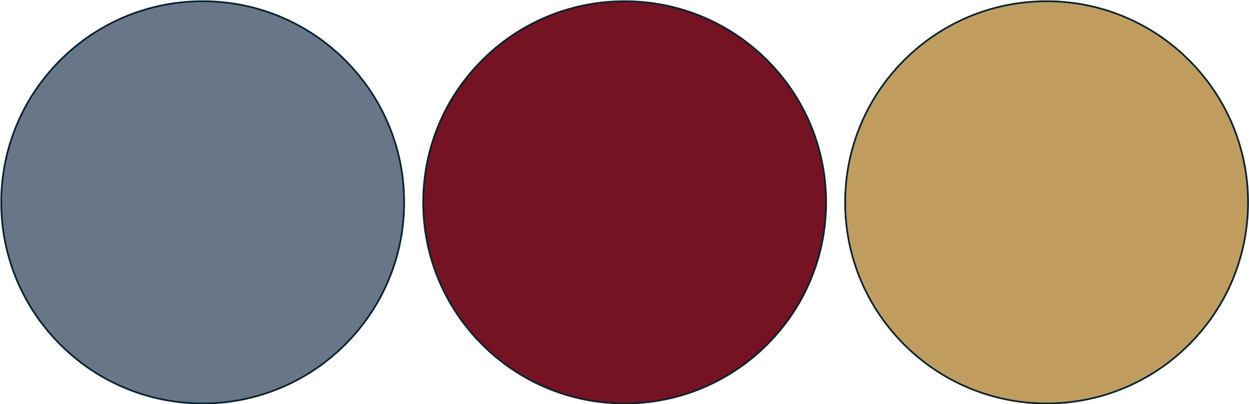 Picture of What is your wedding color scheme?