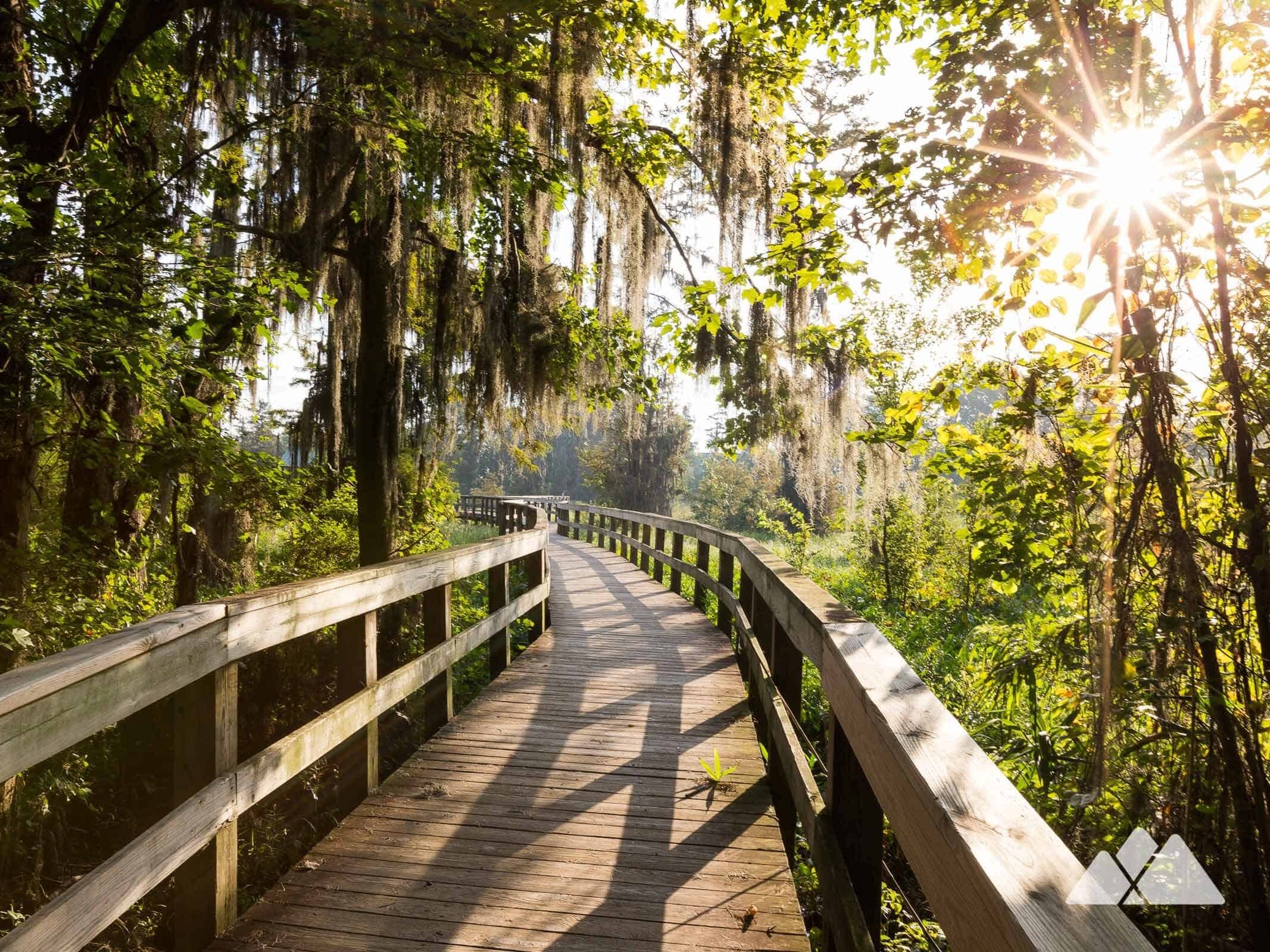 Picture of Phinizy Swamp Nature Park