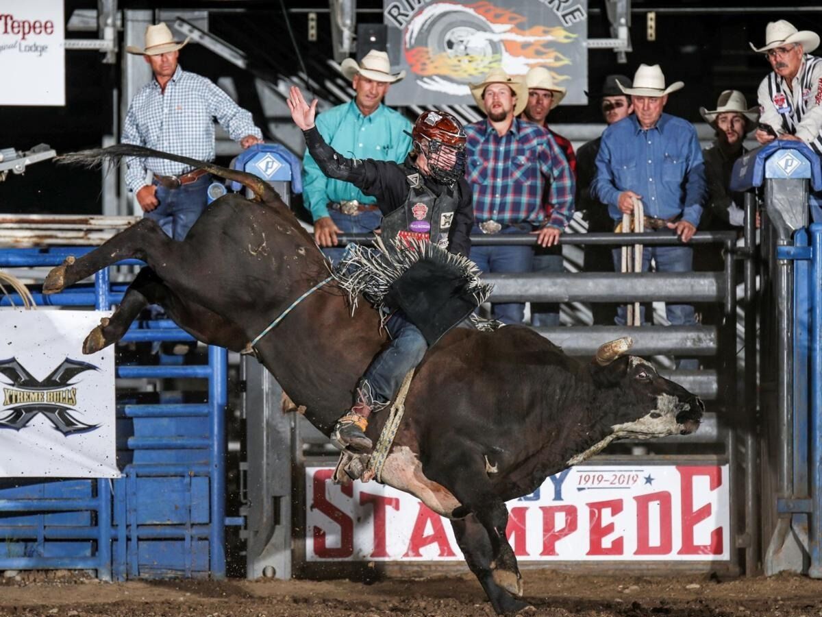 Picture of Cody Night Rodeo