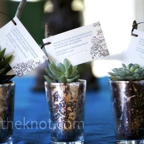 Small Plant Favors