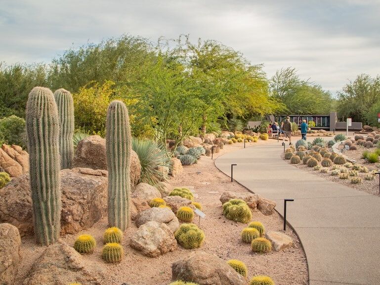 Picture of Desert Botanical Garden