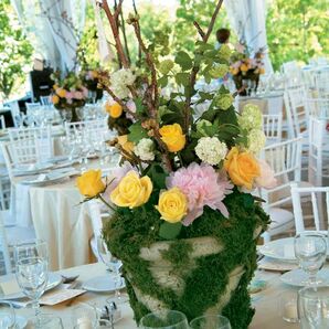 The Centerpieces
