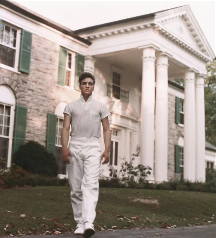 Picture of Graceland