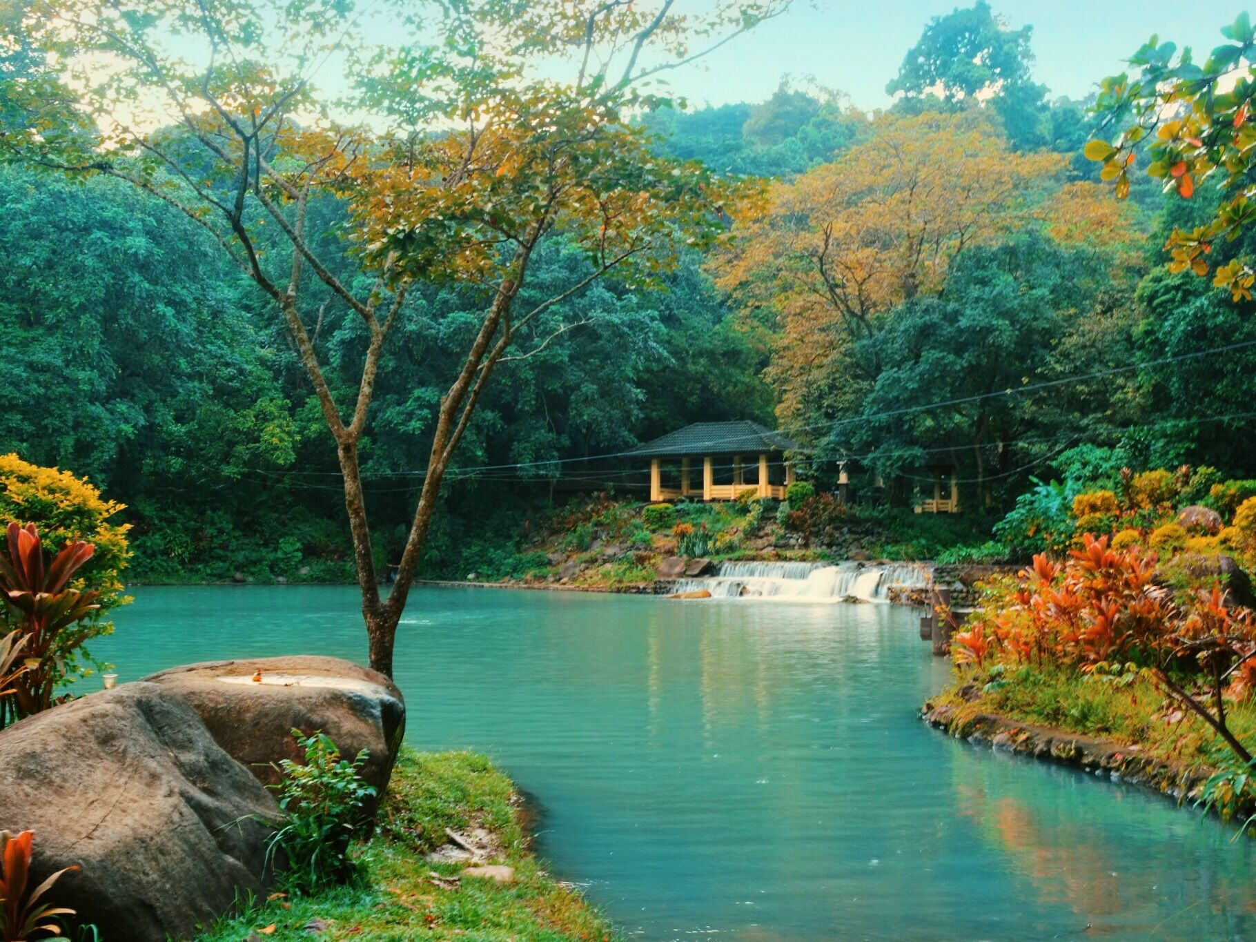 Picture of Mambukal Mountain Resort