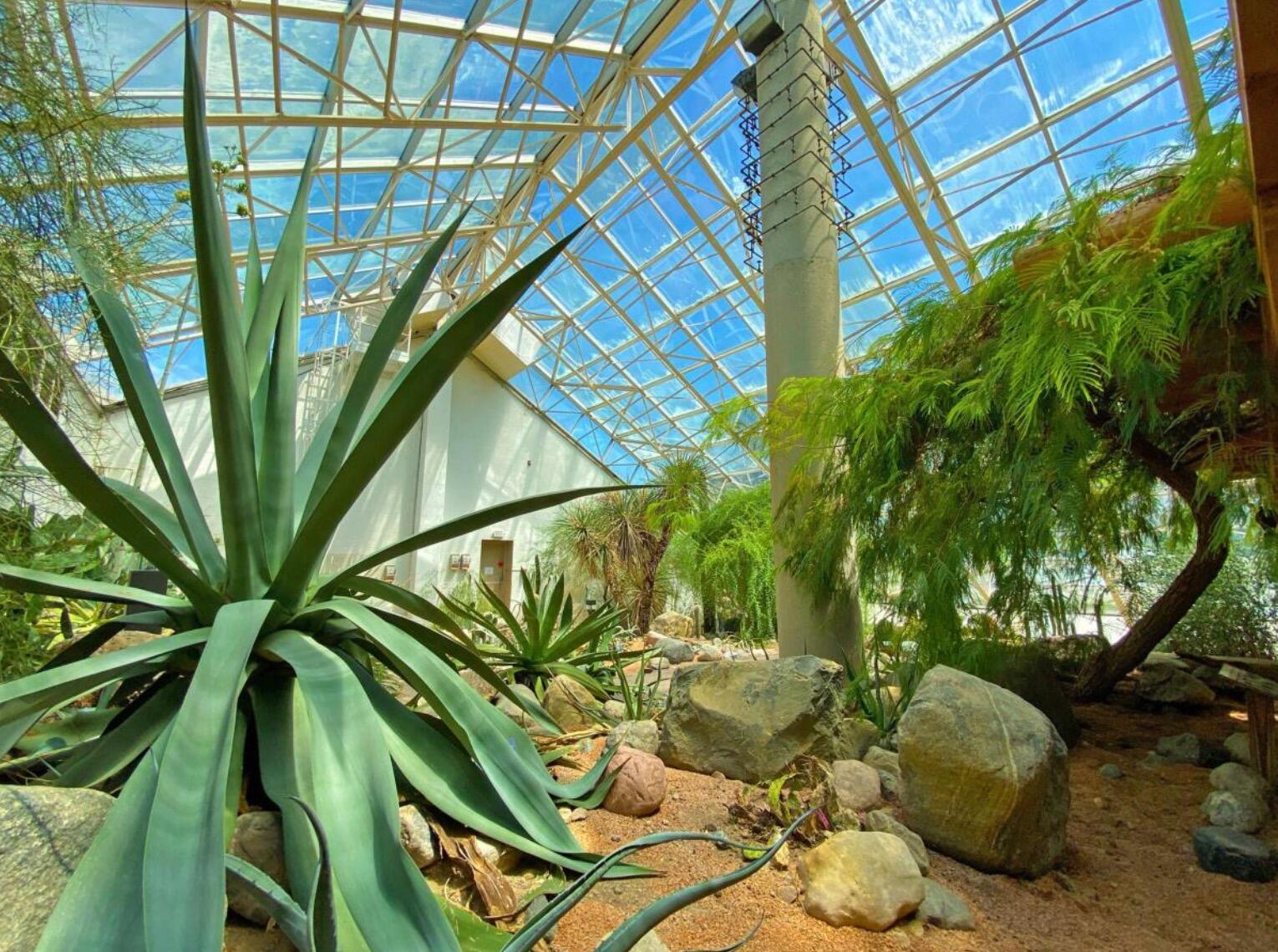 Picture of Foellinger-Freimann Botanical Conservatory