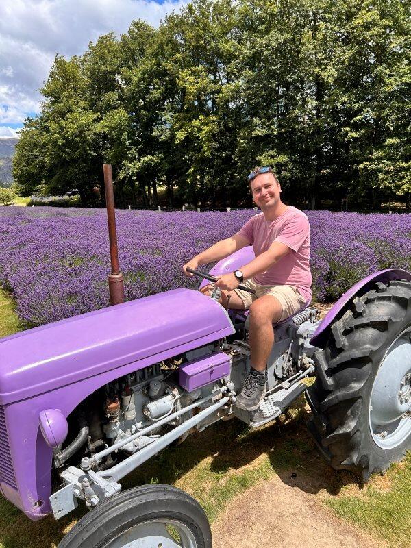 Picture of Wanaka Lavender Farm