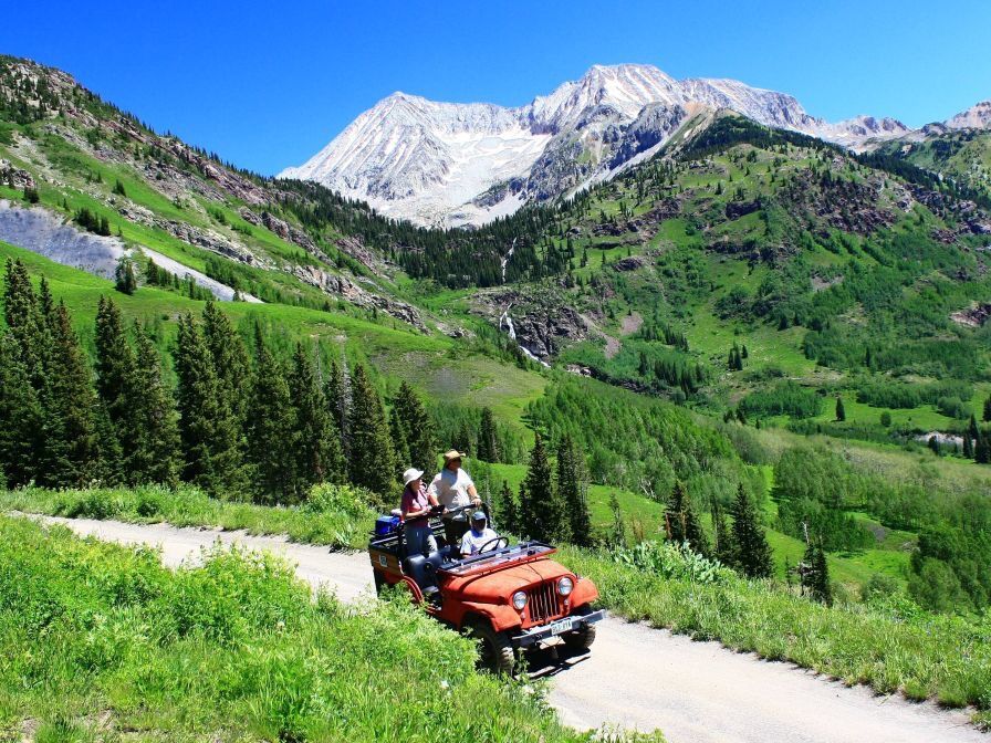 Picture of Crystal River Jeep Tours