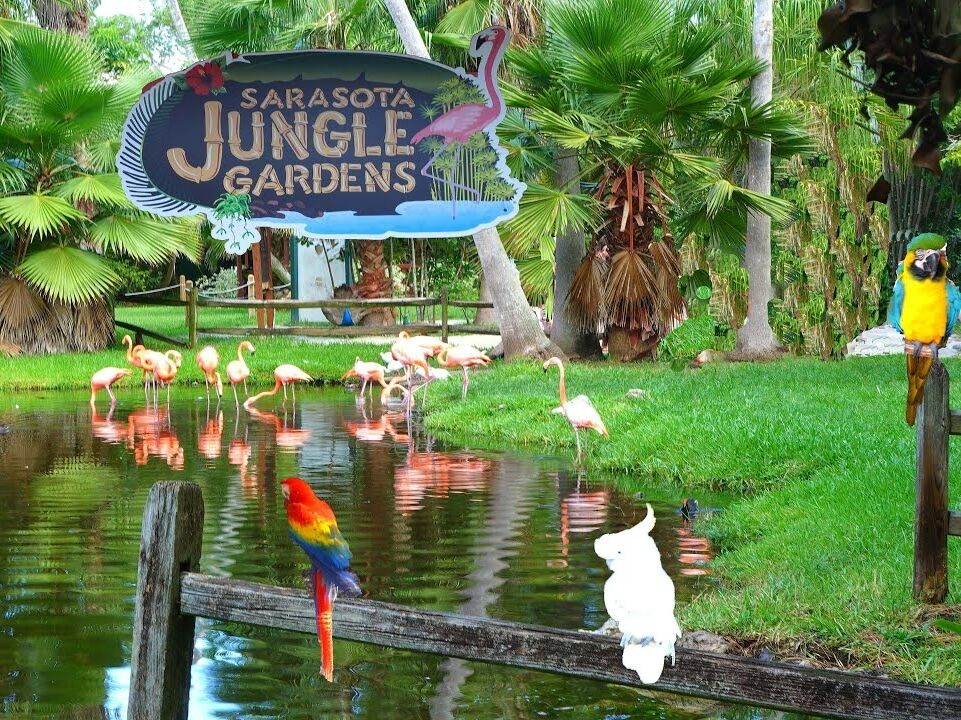 Picture of Sarasota Jungle Gardens