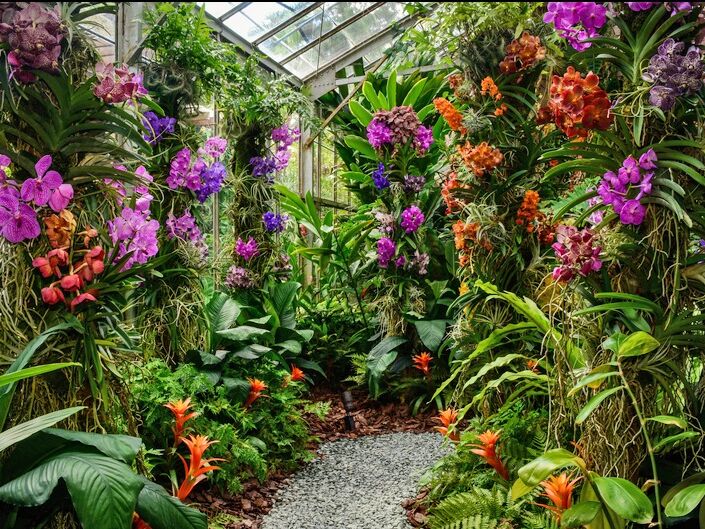 Picture of Marie Selby Botanical Gardens Downtown Sarasota