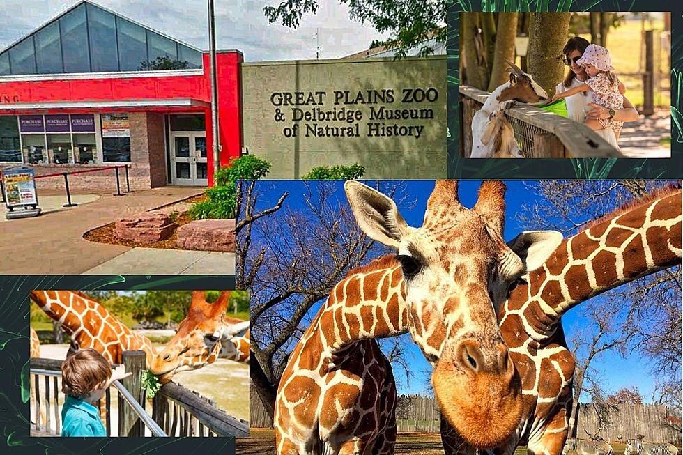 Picture of Great Plains Zoo