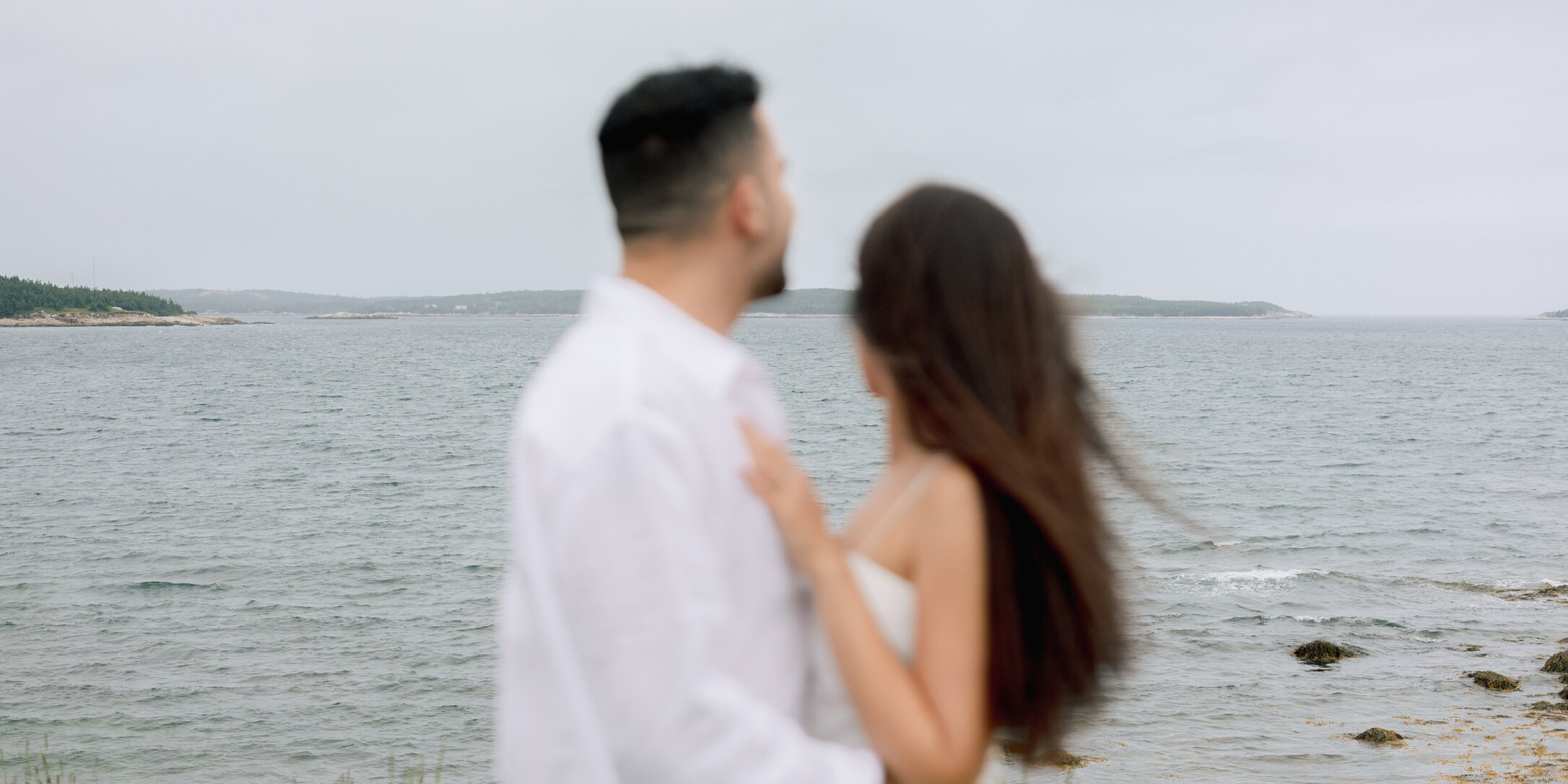 Niusha & Kosta Home Page Banner