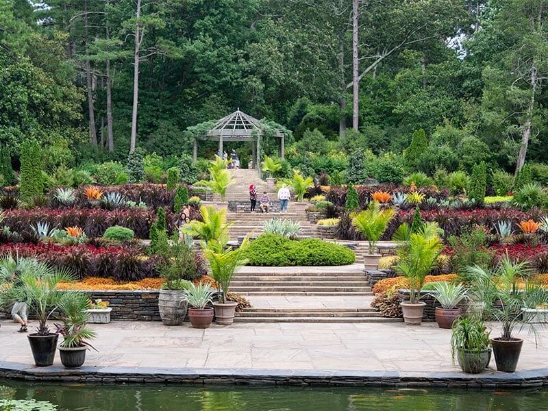 Picture of Sarah P. Duke Gardens