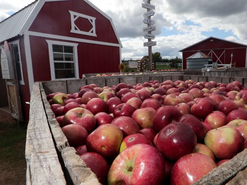 Picture of Helene's Hilltop Orchard LLC