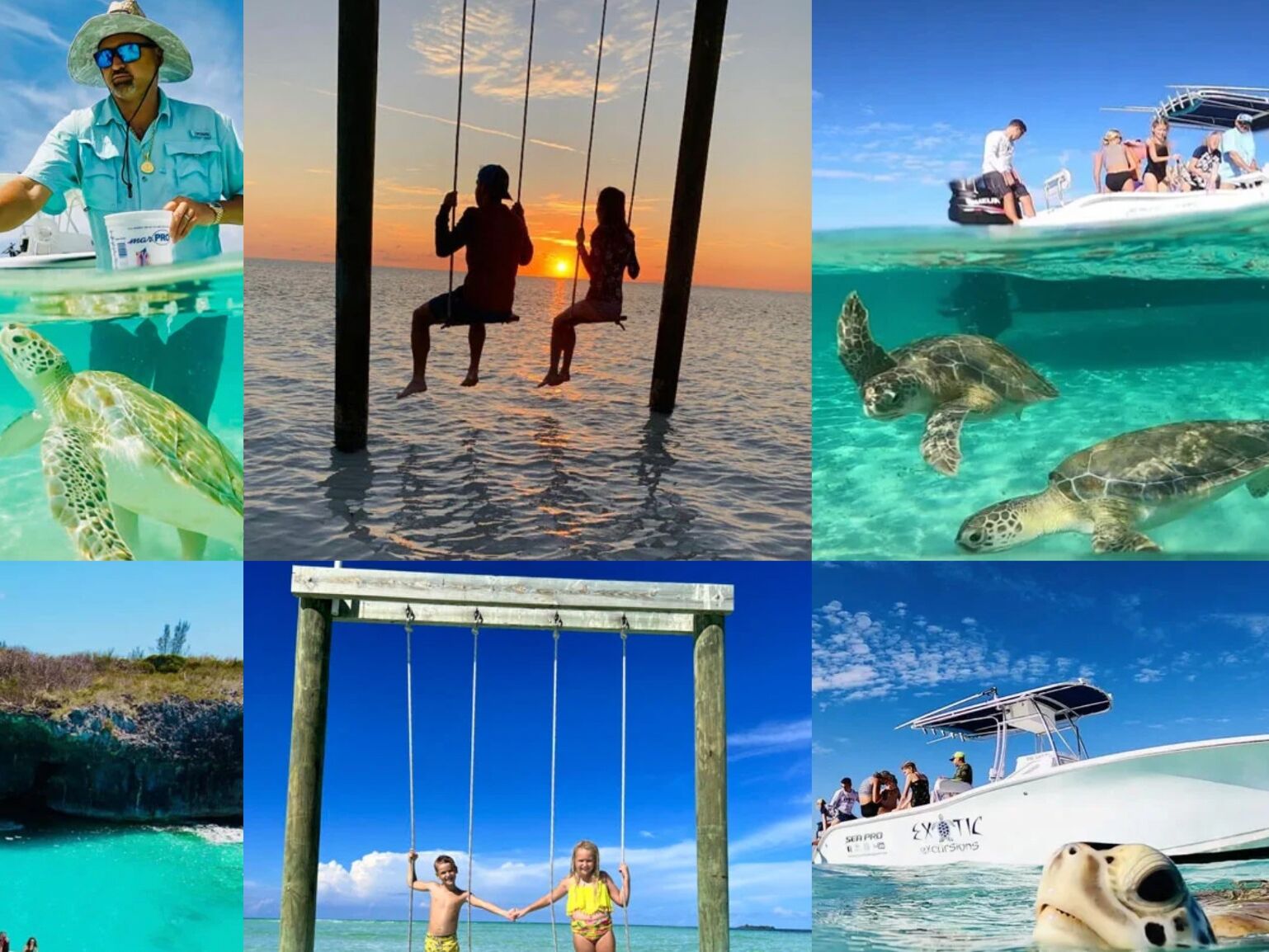 Picture of EXOTIC EXCURSIONS 242