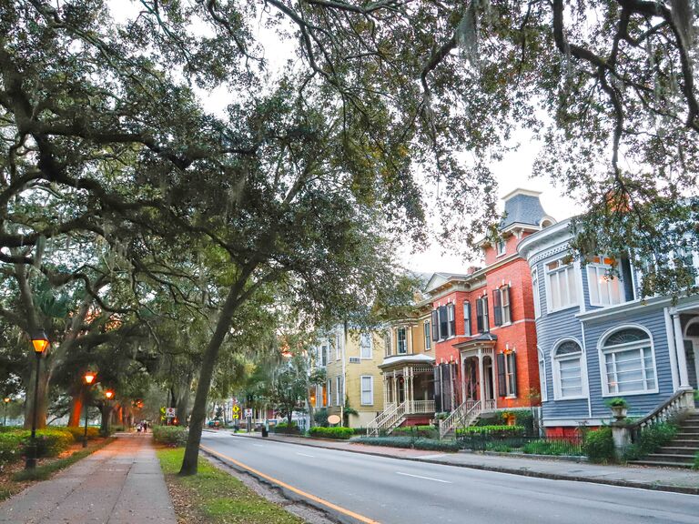 Spanish moss and old oak trees in downtown Savannah, GA