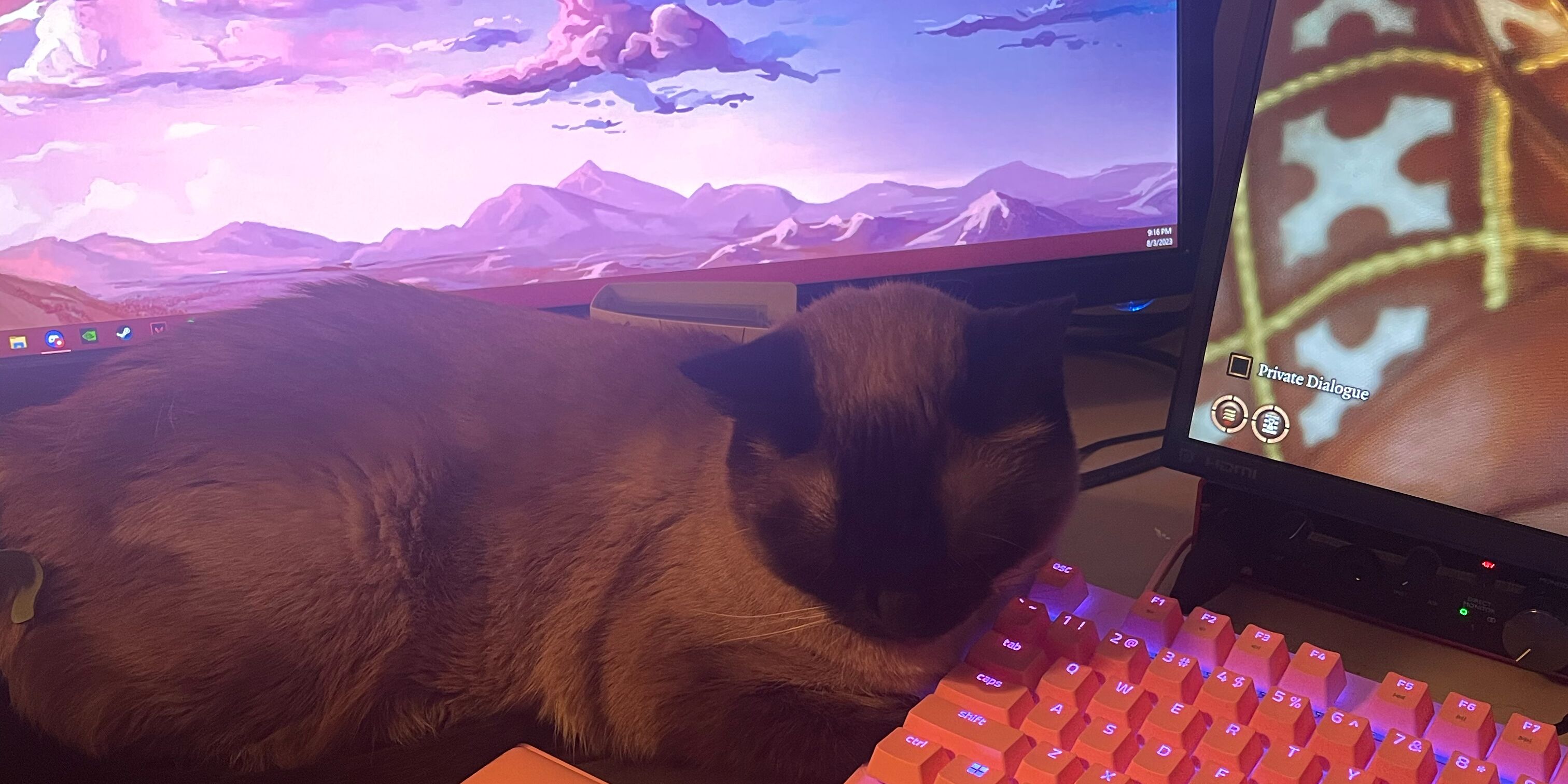 Picture of How does your life look together?