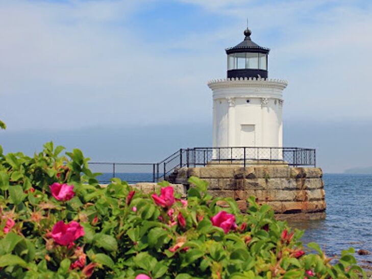 Picture of Bug Light Park