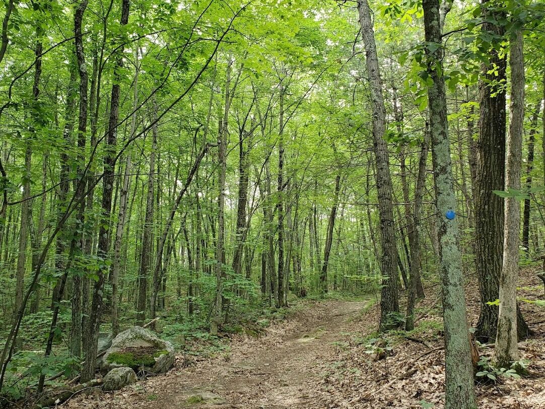 Picture of Mass Audubon's Rocky Hill Wildlife Sanctuary