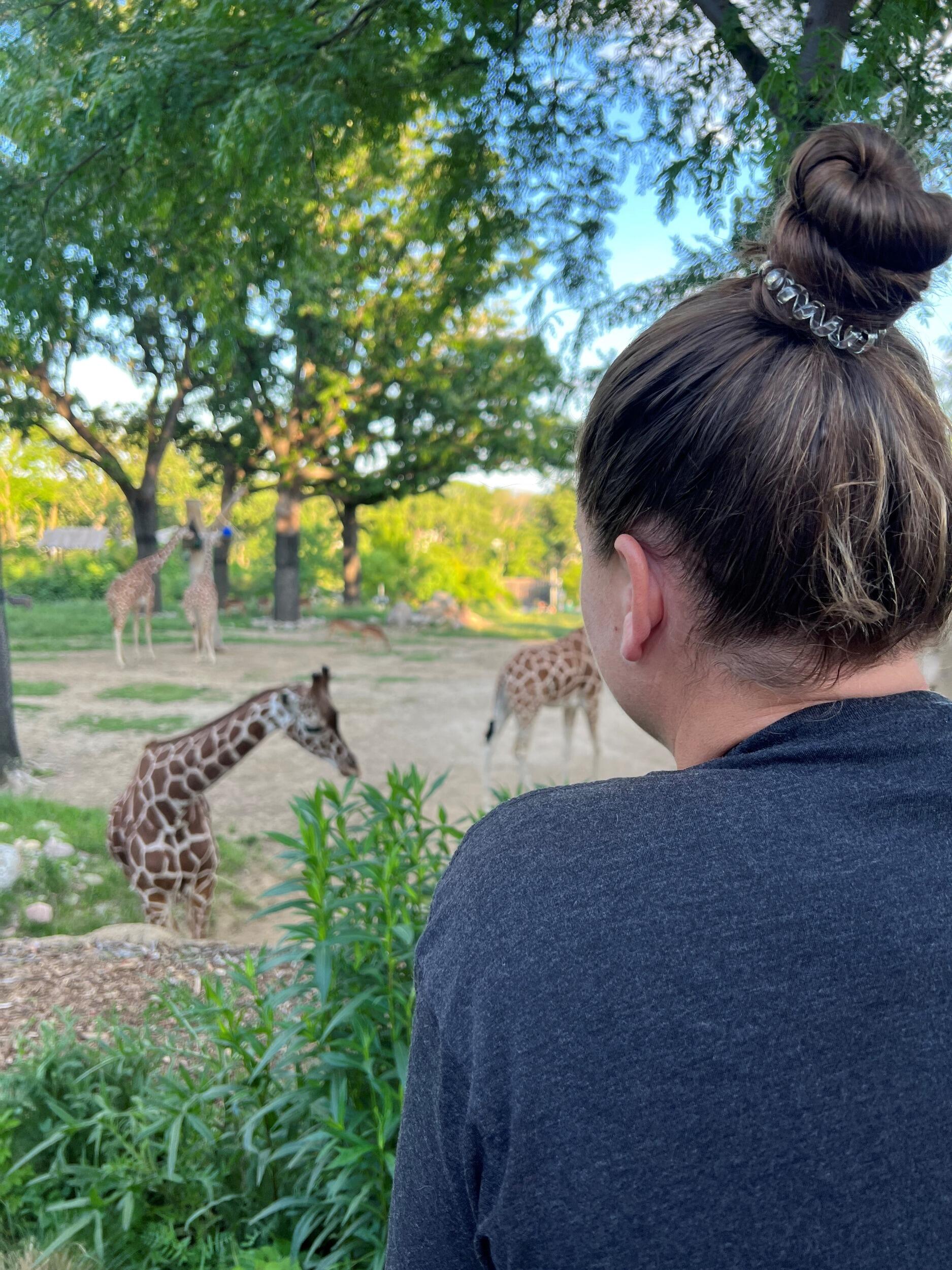 Picture of Denver Zoo