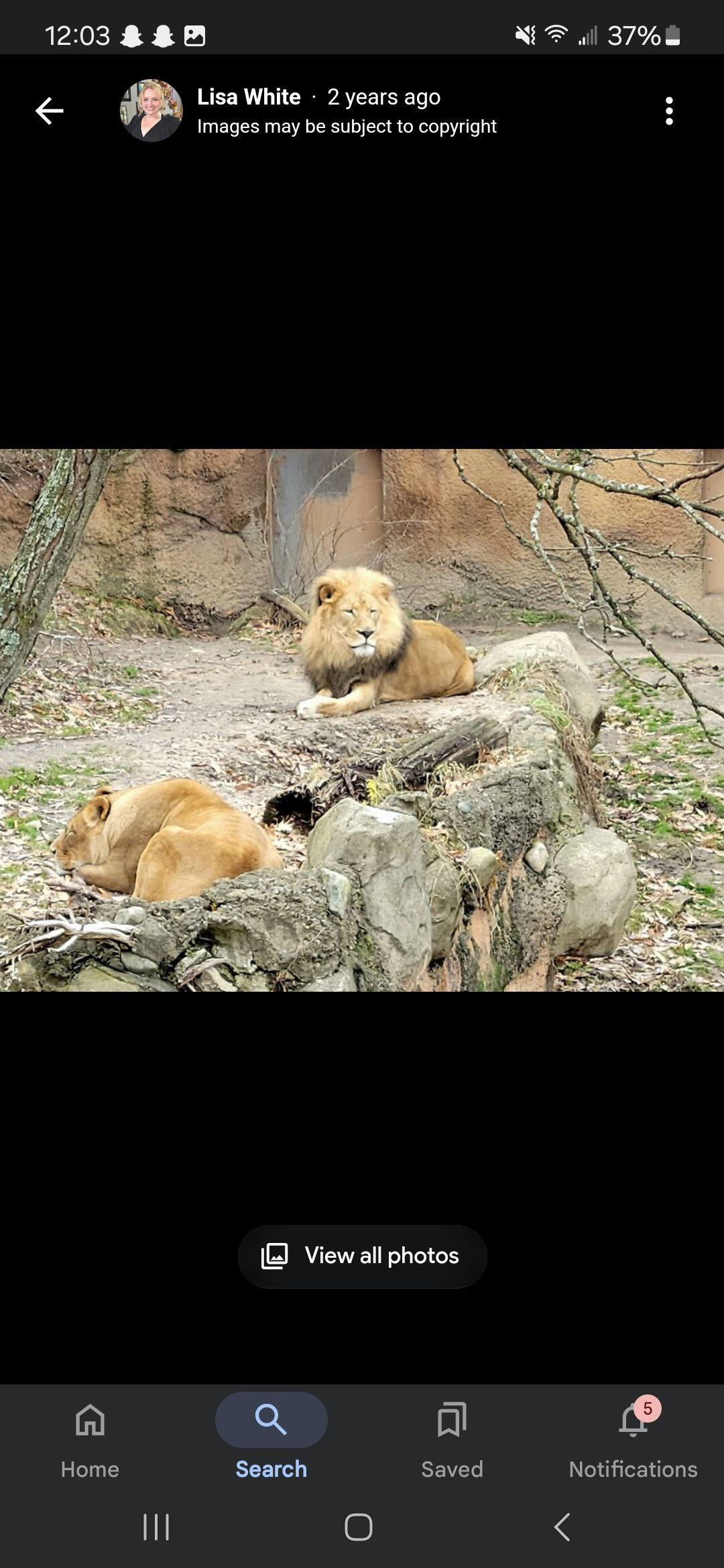 Picture of John Ball Zoo