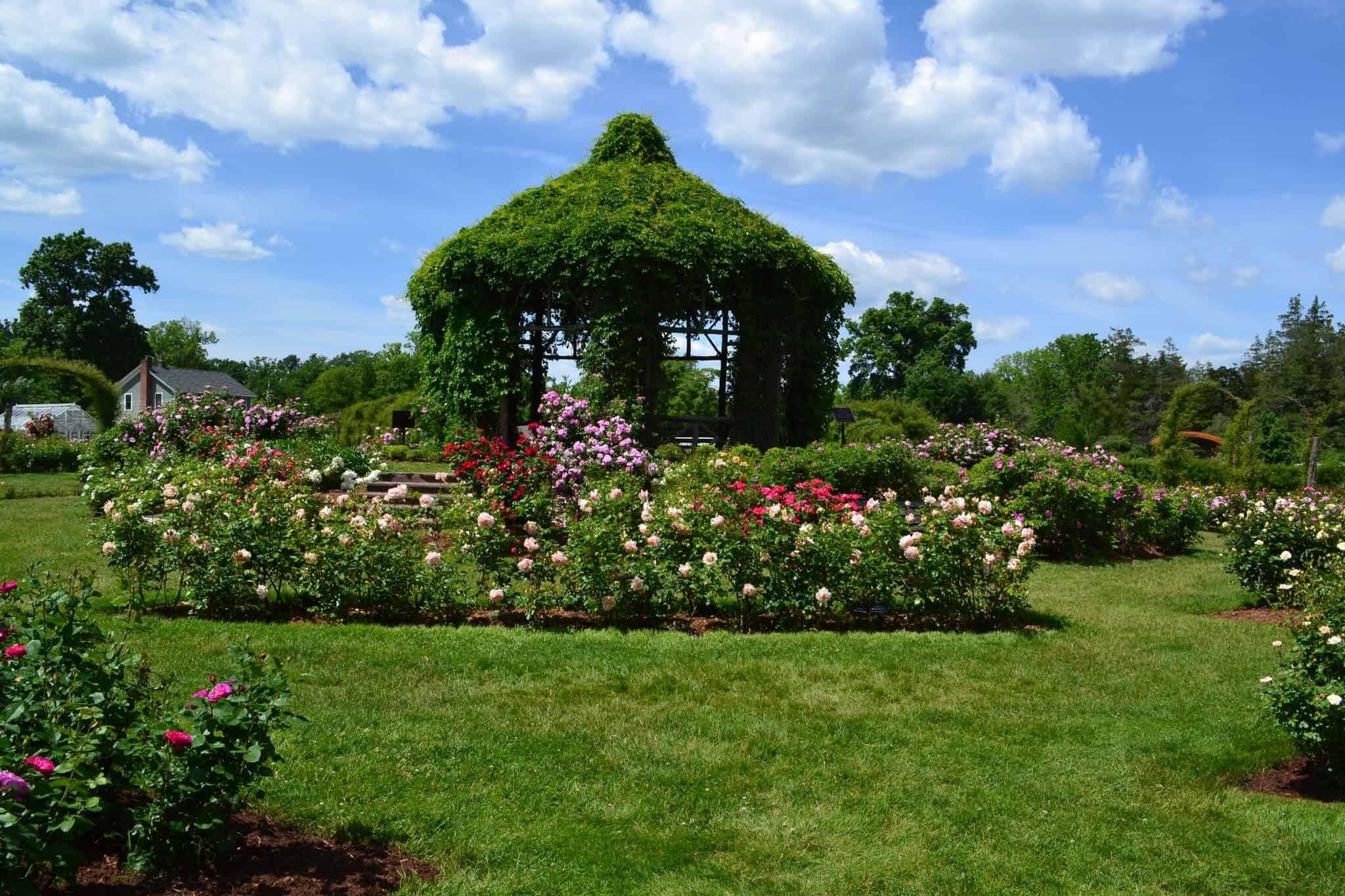 Picture of Elizabeth Park Conservancy