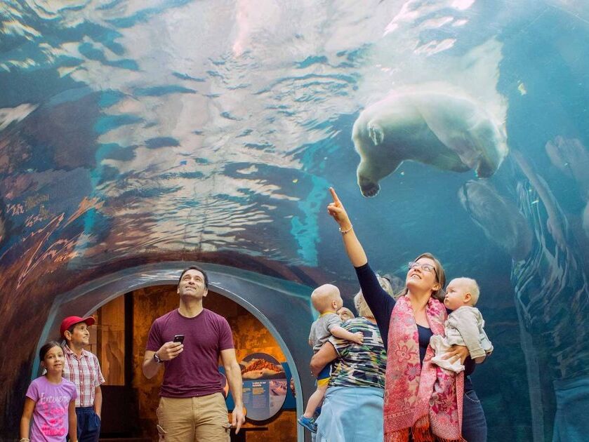 Picture of Assiniboine Park Zoo