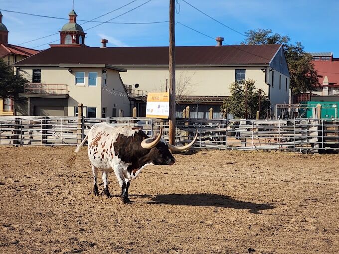 Picture of Fort Worth Stockyards