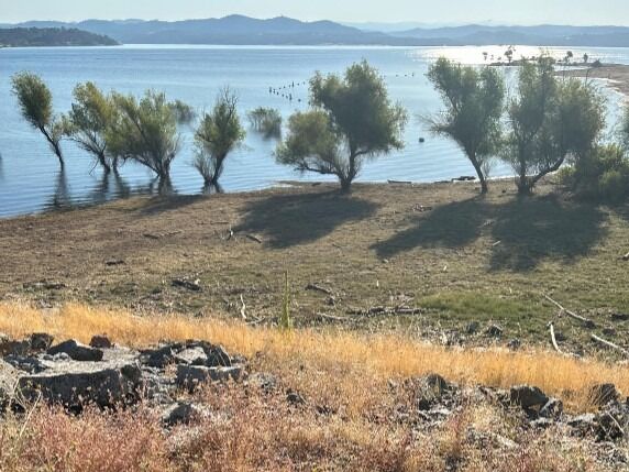 Picture of Folsom Lake