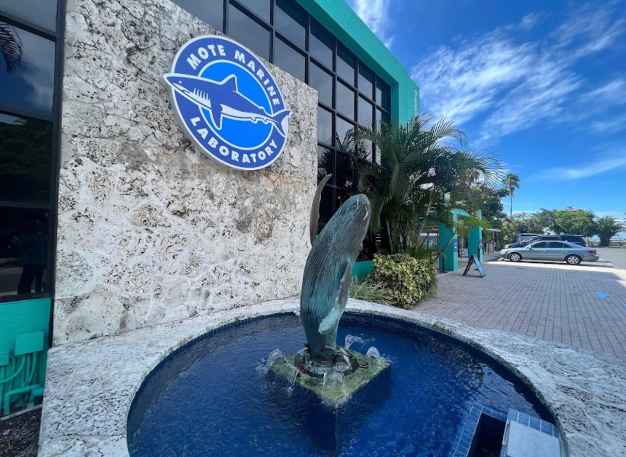 Picture of Mote Marine Laboratory & Aquarium