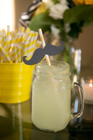 Striped Cocktail Straws
