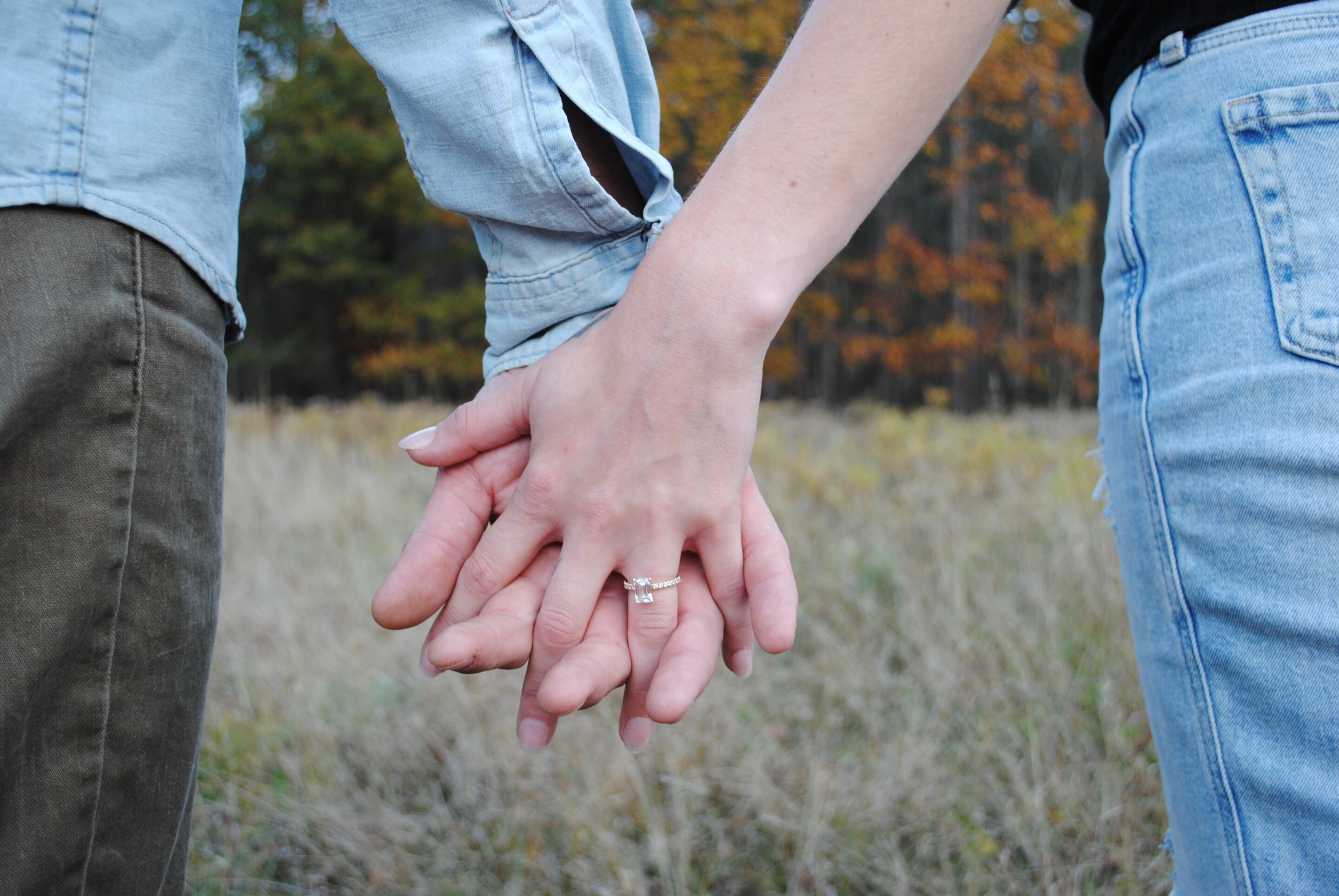 Lily & Dillon Home Page Banner
