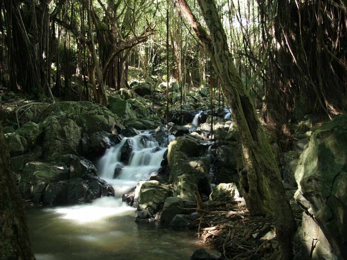 Picture of Kapena Falls
