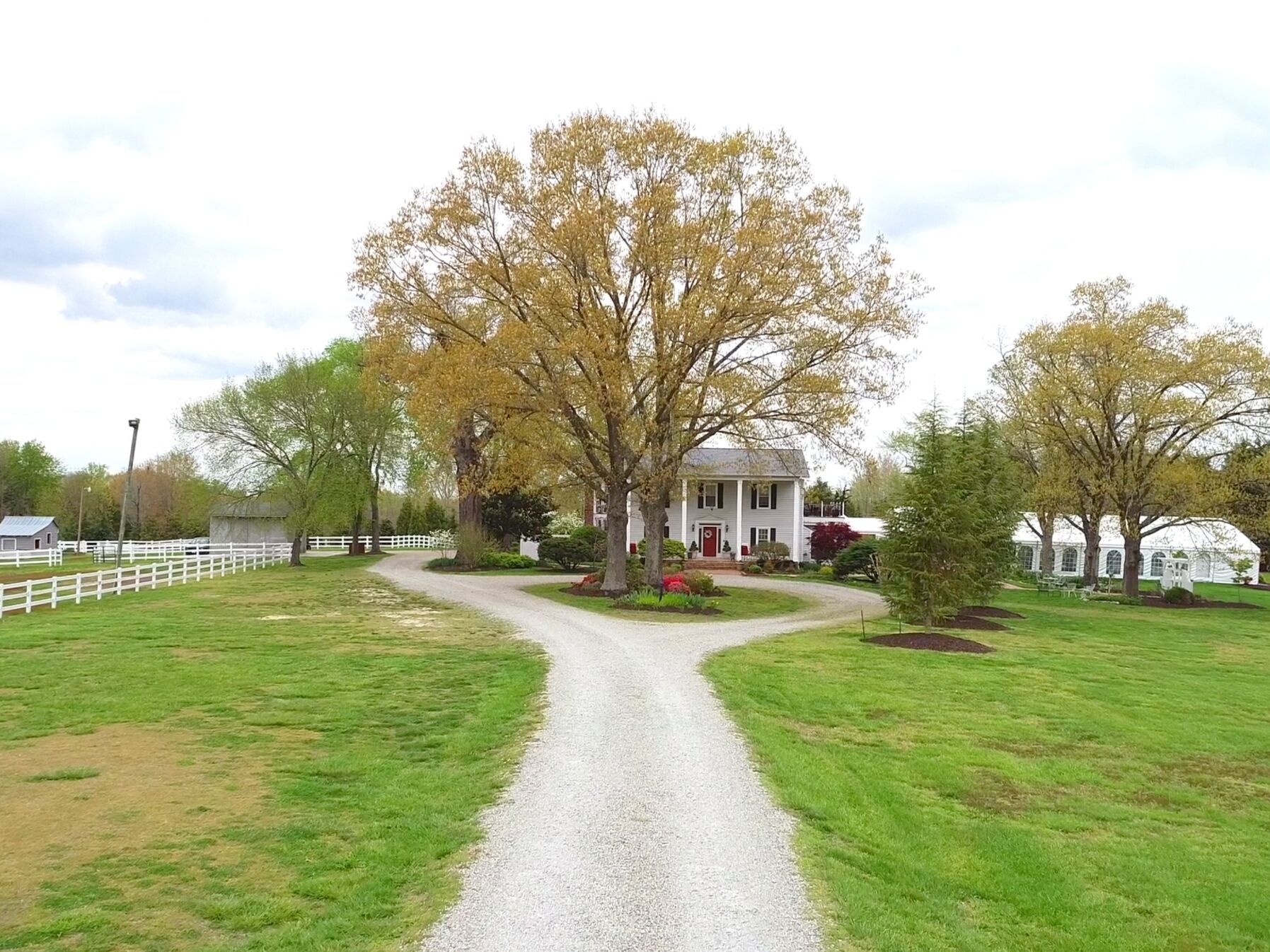 Picture of Amber Grove