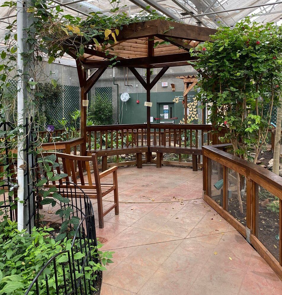 Picture of Butterfly House & Aquarium