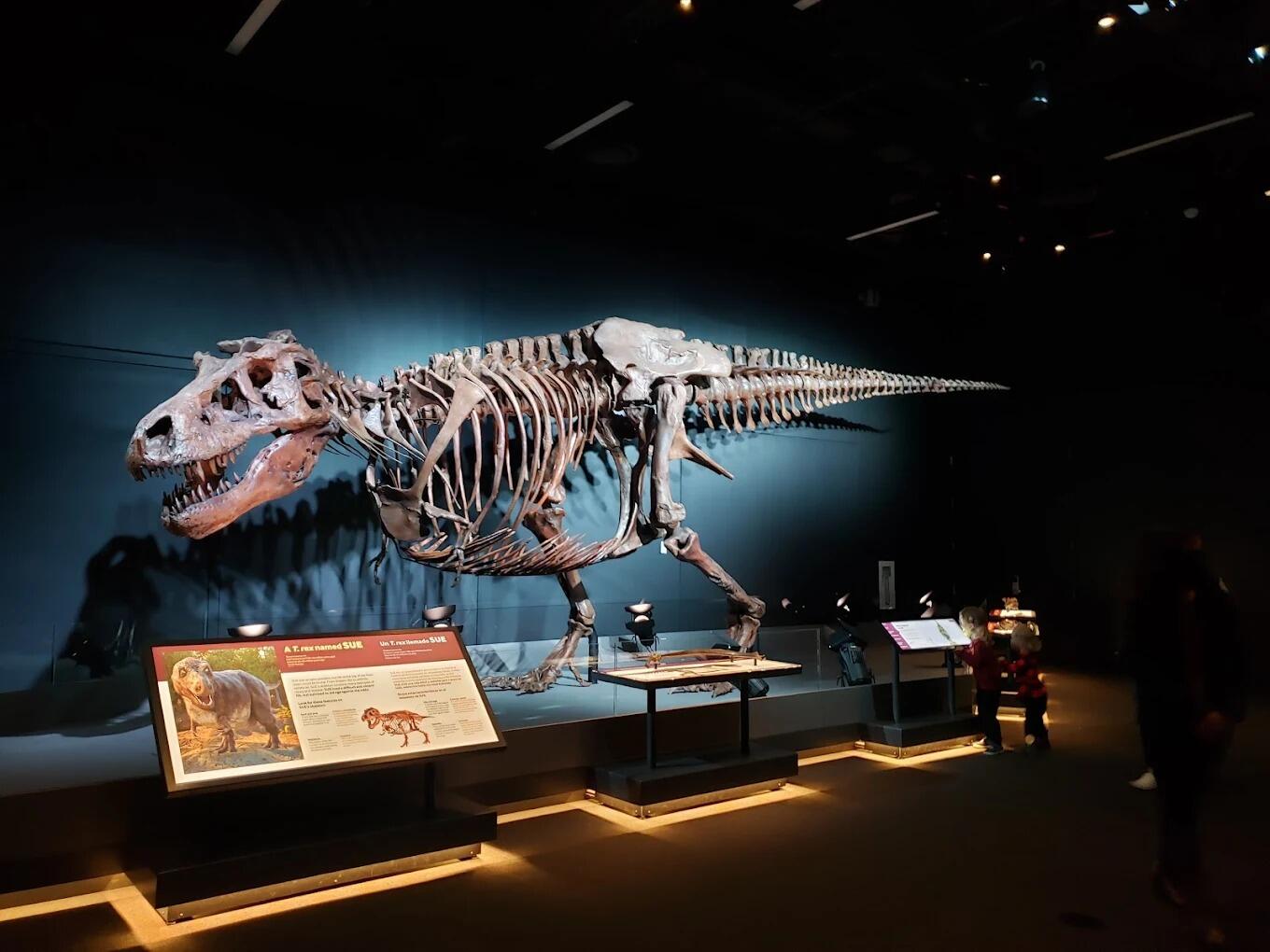 Picture of Denver Museum of Nature & Science