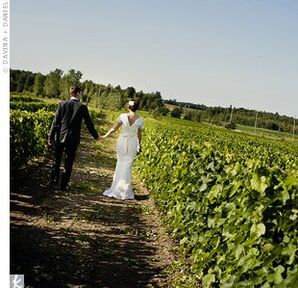 Vineyard Wedding