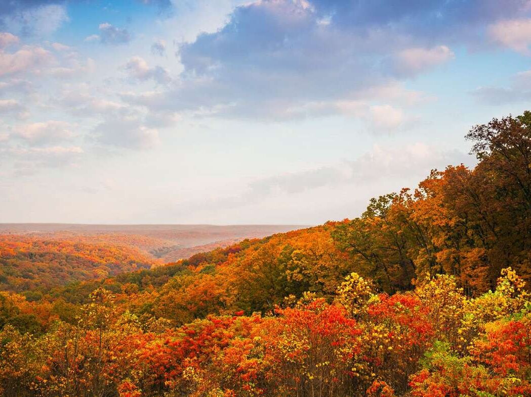 Picture of Brown County State Park