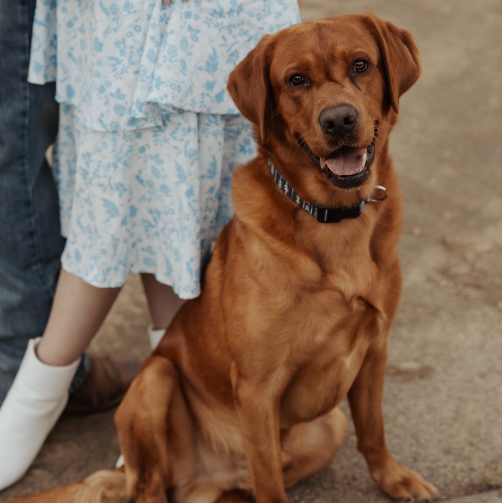 Cooper 